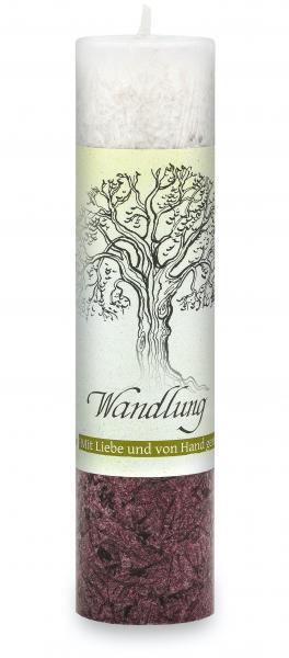 Allgäuer Heilkräuter-Kerze Wandlung